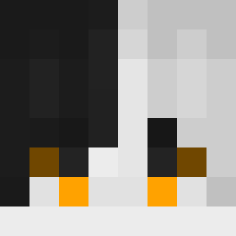 CeilingBird's skin