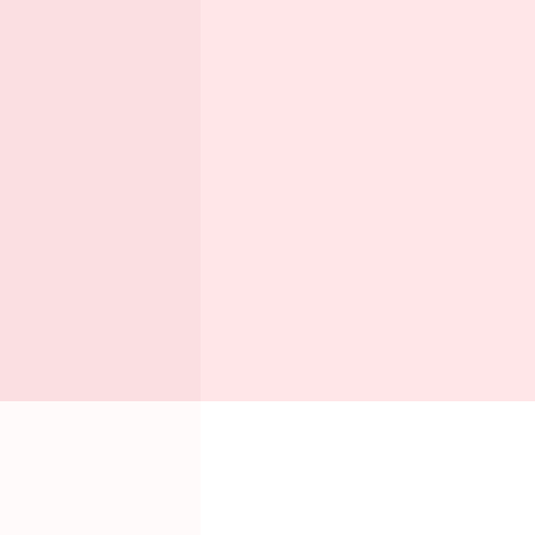 CeilingBird's skin