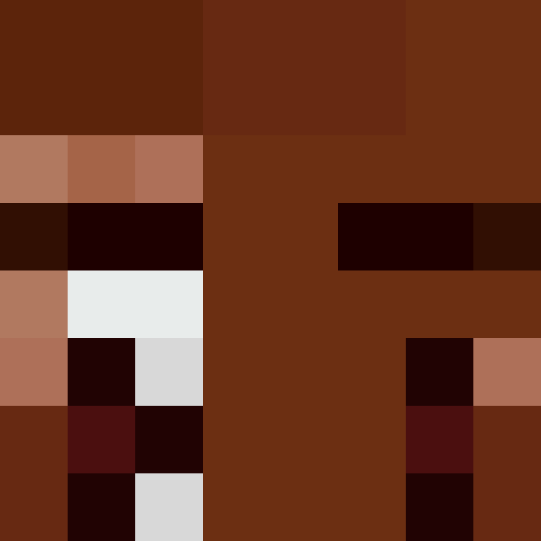 BukkitAPI's skin