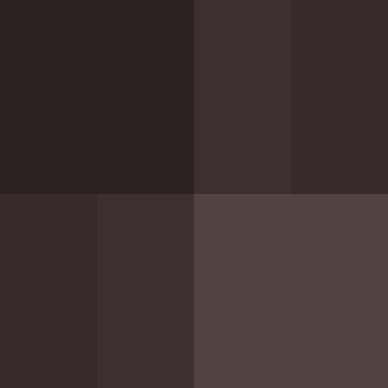 Auntbrix's skin