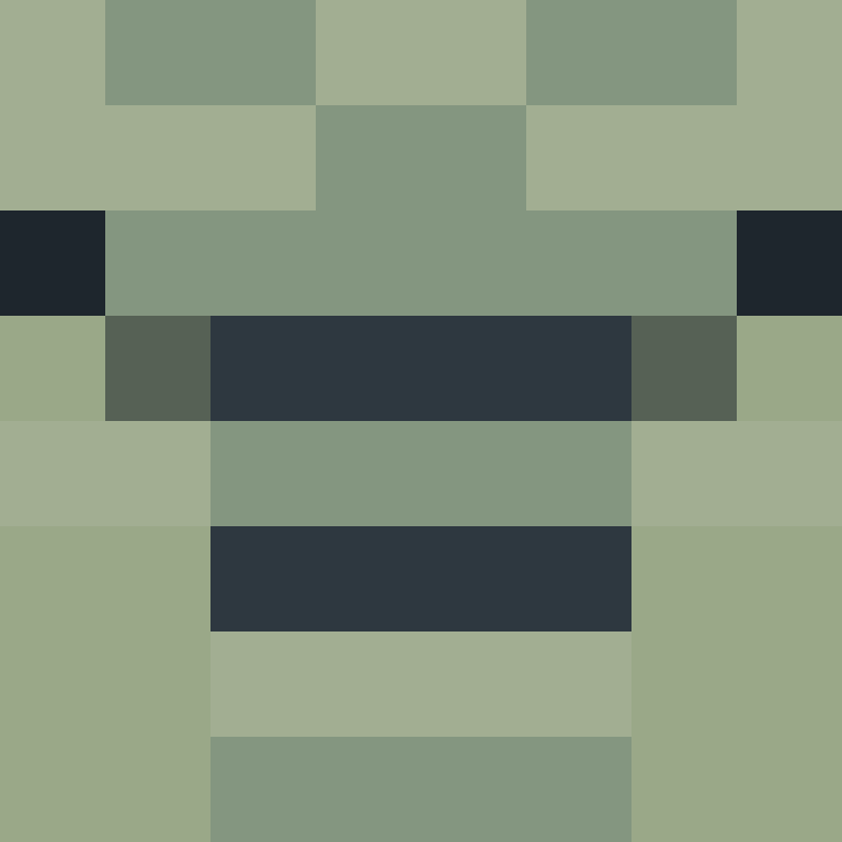 AutoSkin's skin