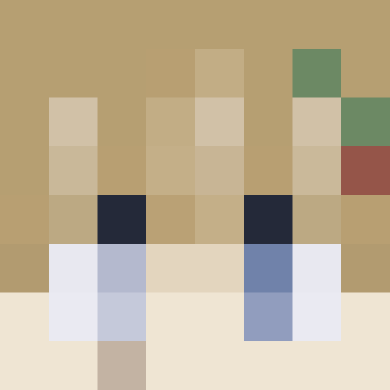 CeilingBird's skin