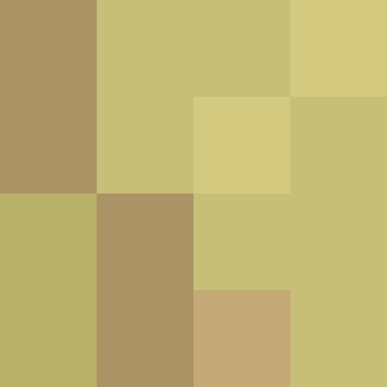 BukkitAPI's skin