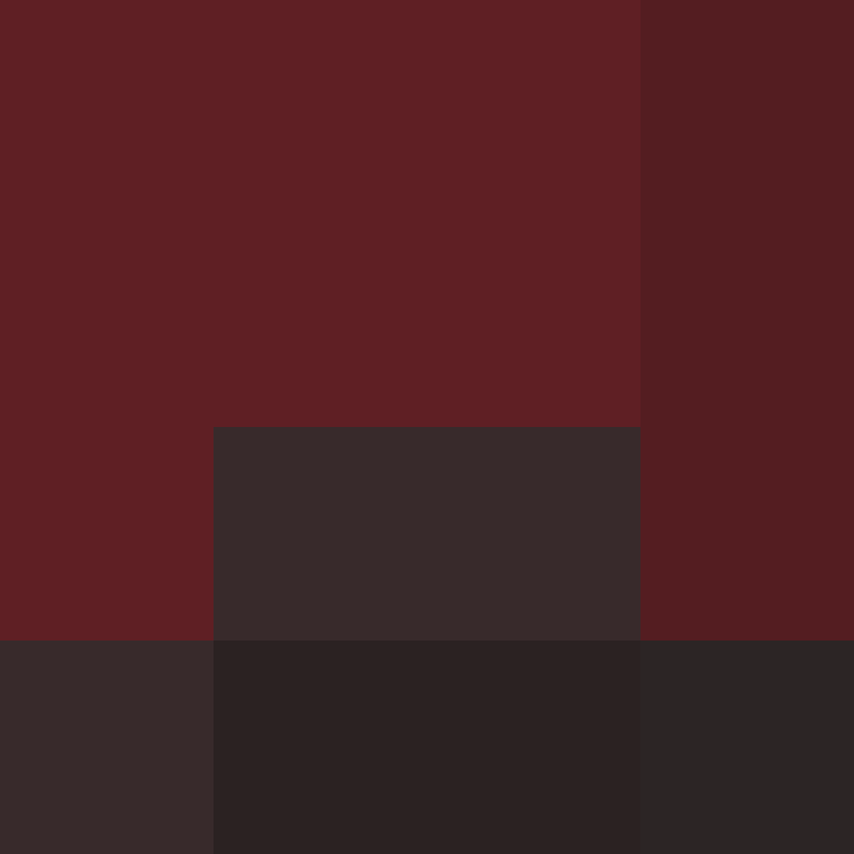 dragloner's skin