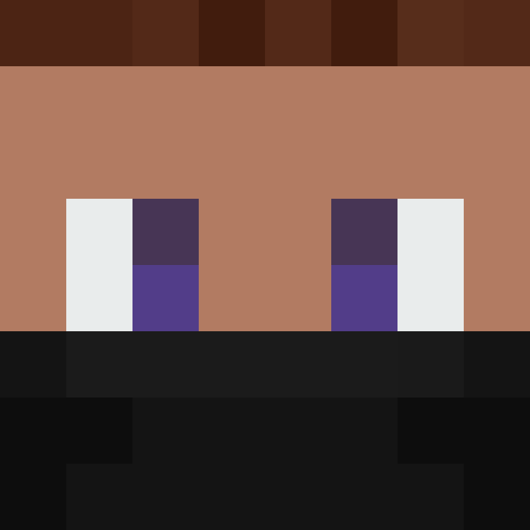 xX_No_Income_Xx's skin
