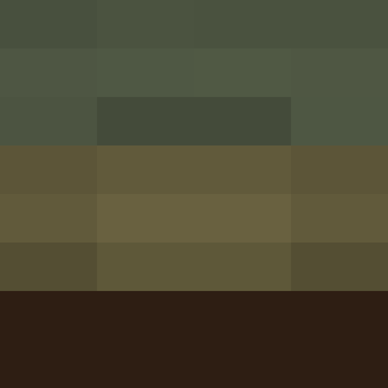 Ichiinn's skin
