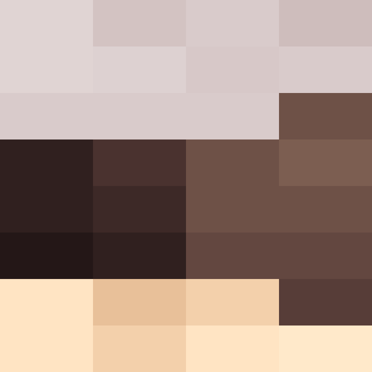 PtakopyskCZ's skin