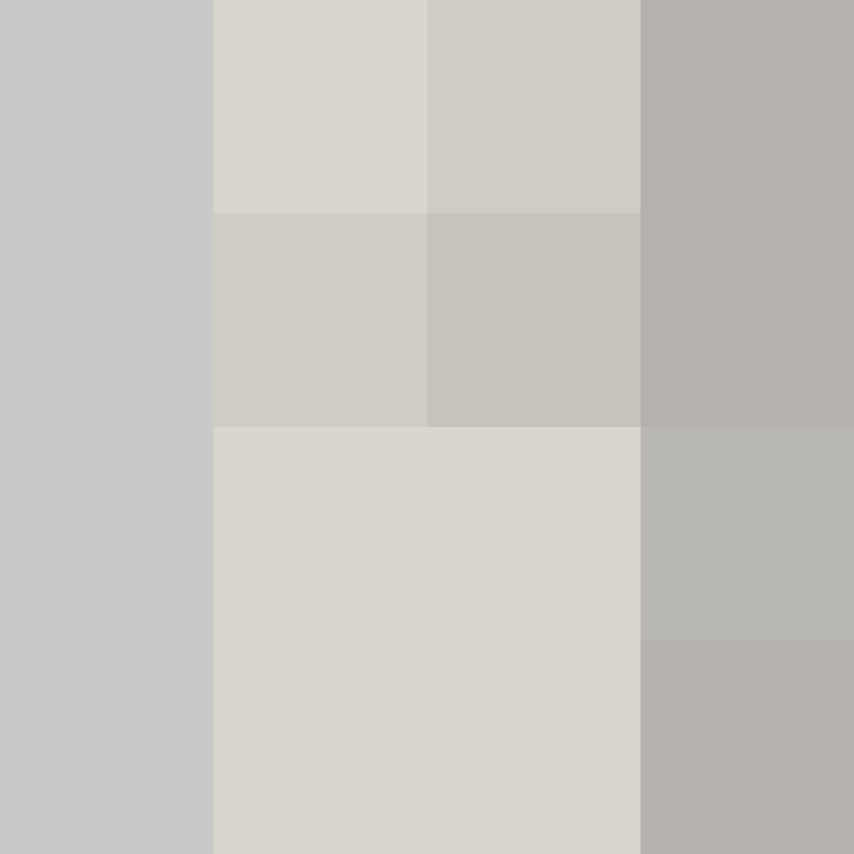 _KKXD_'s skin