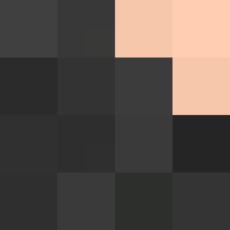 deminecrafterlol's skin