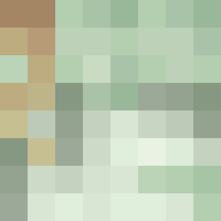 WebNX's skin