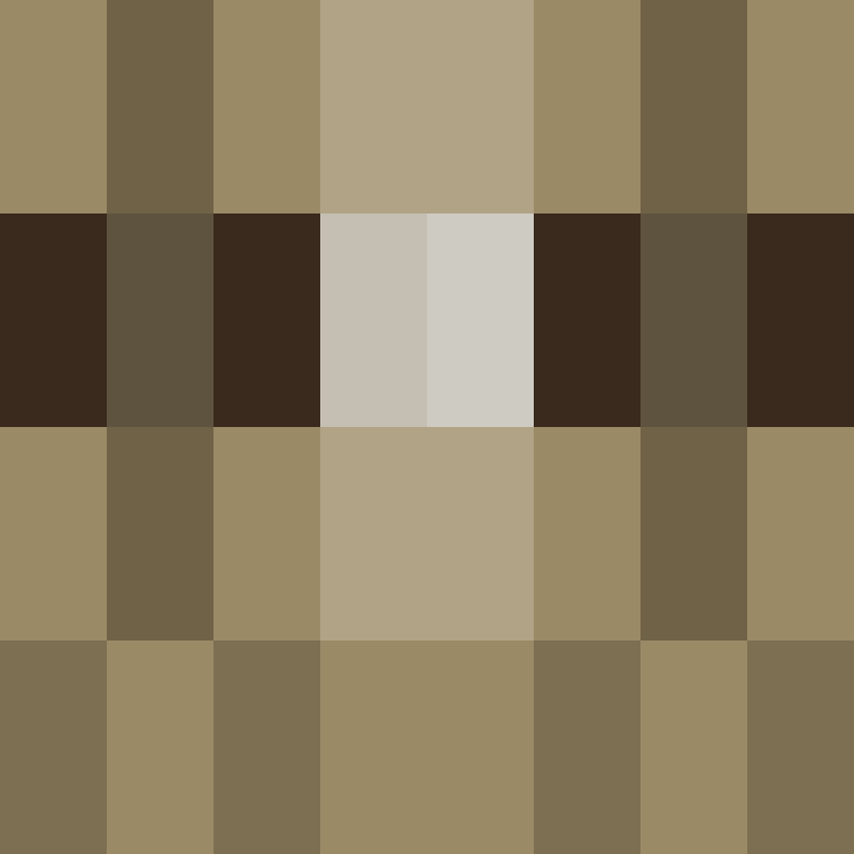 PatatjeMC's skin