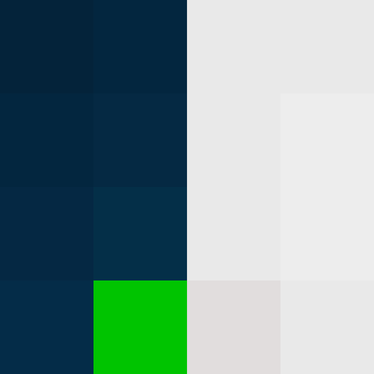 acin5's skin