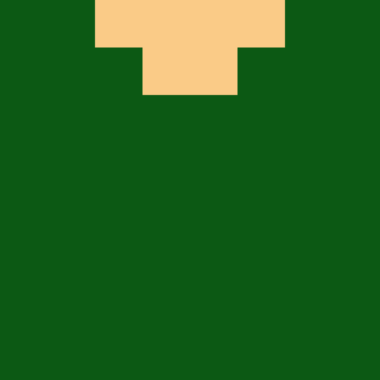 DonaldTrump42's skin