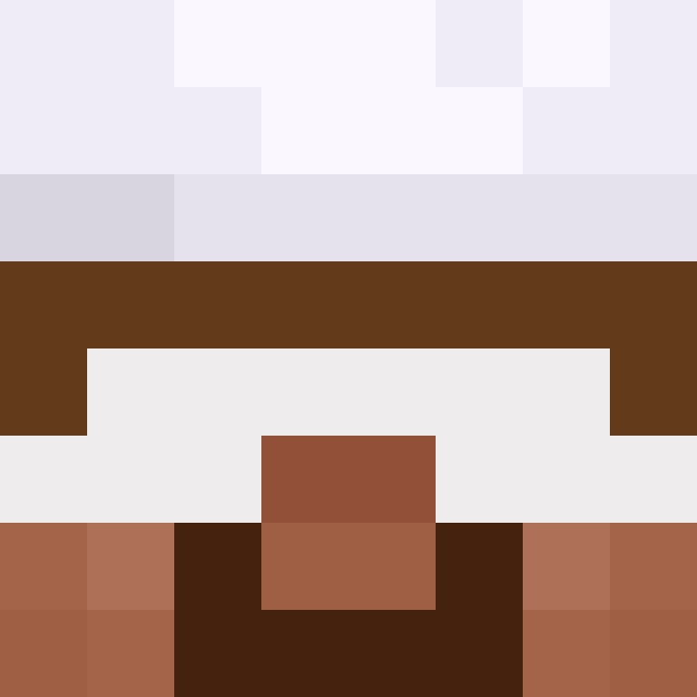 TheCuriousMiner's skin