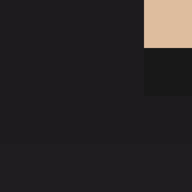 CeilingBird's skin