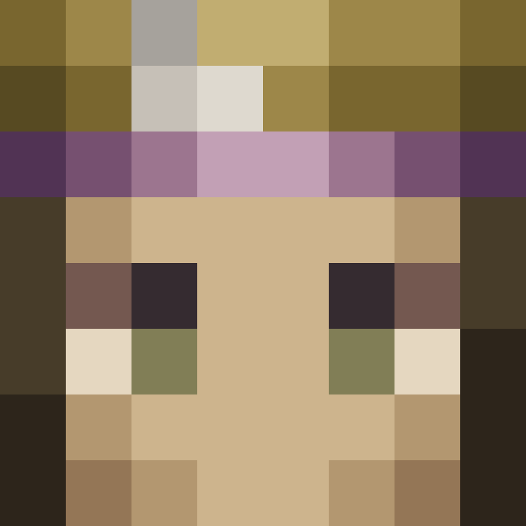 8aca680b22461340's skin