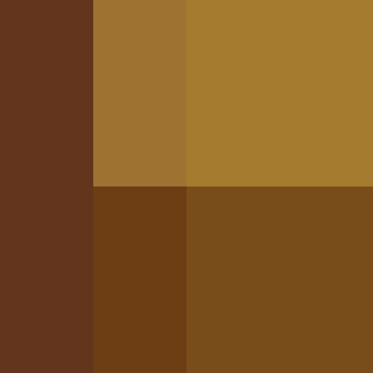dragloner's skin