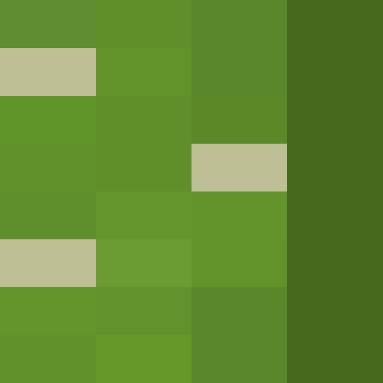 executory's skin