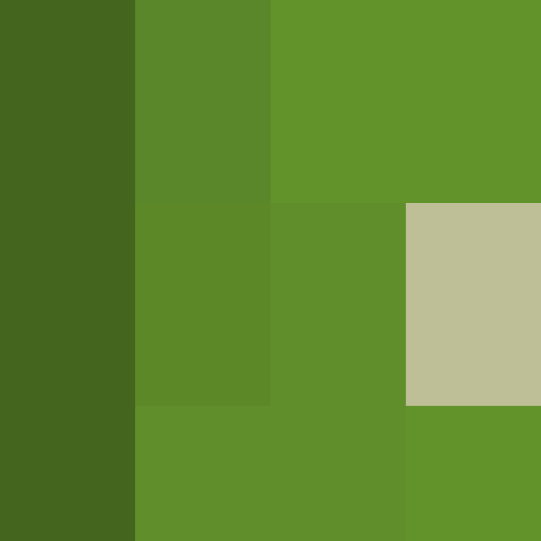 Dequari's skin