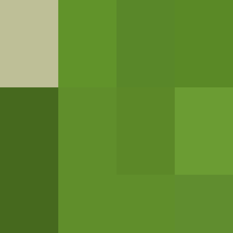 CrypticLoser13's skin