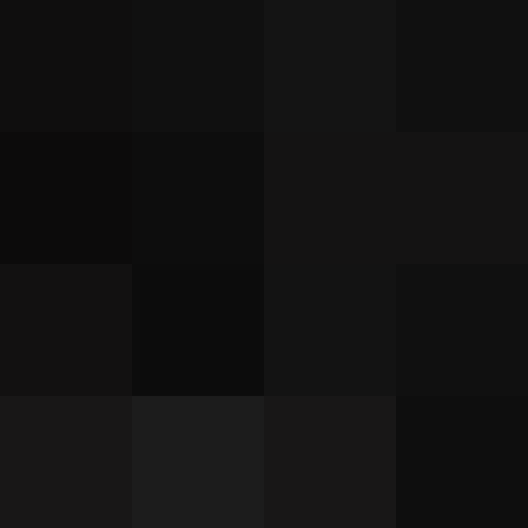 xentany's skin