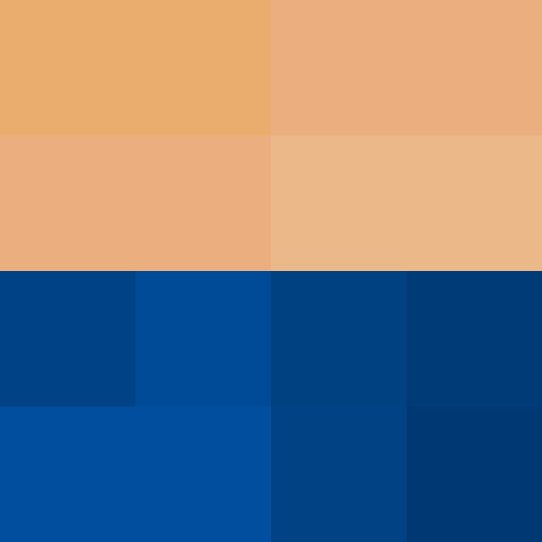 deminecrafterlol's skin