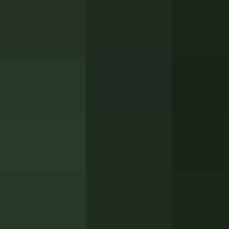 ClowderTech's skin