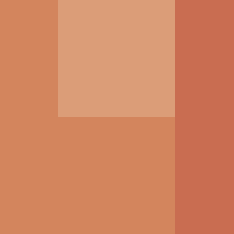 Cartizoll's skin