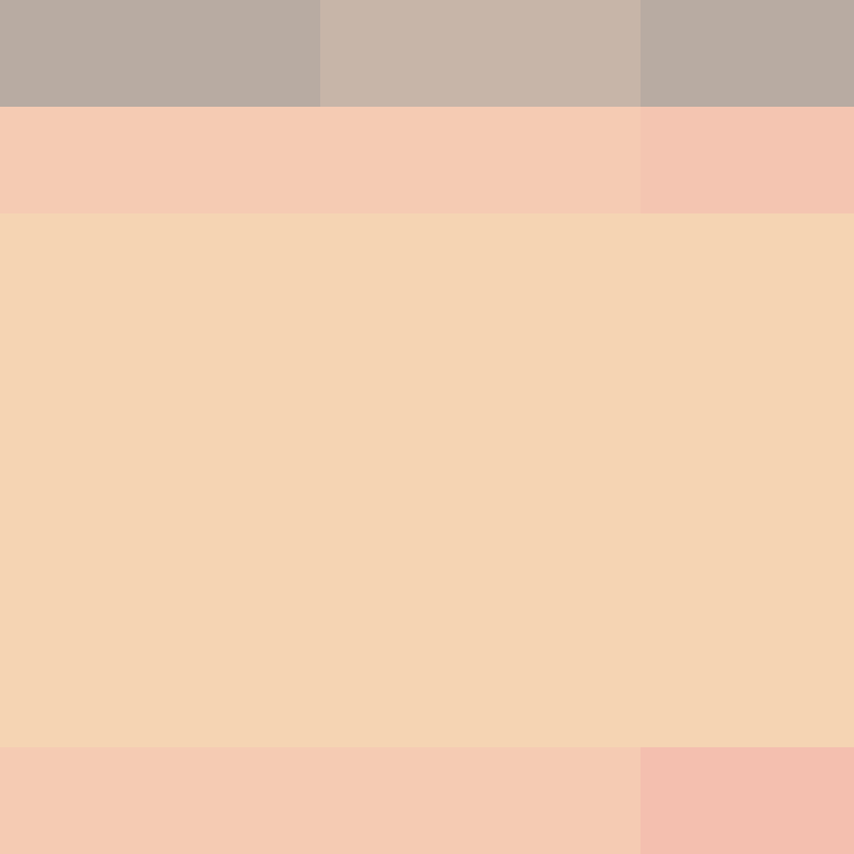 BukkitAPI's skin
