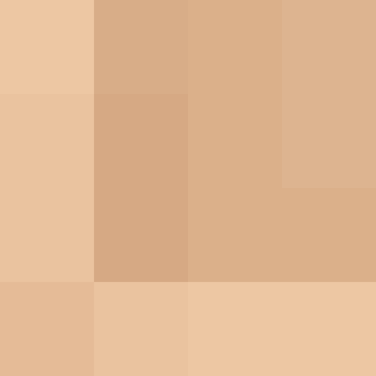 GeyserMC's skin
