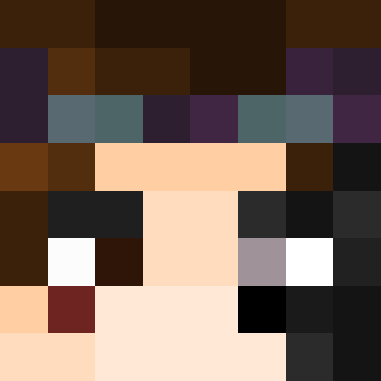 8aca680b22461340's skin