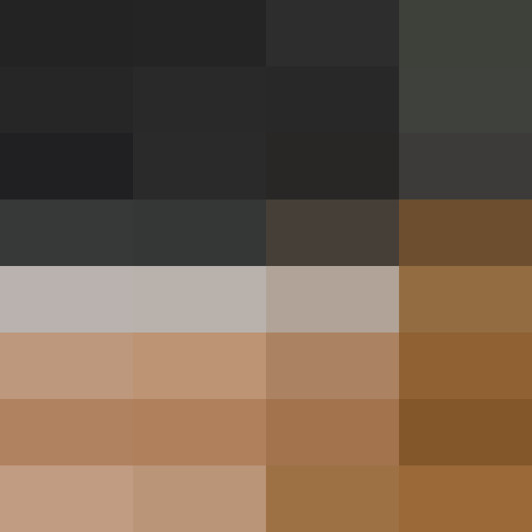 AutoSkin's skin