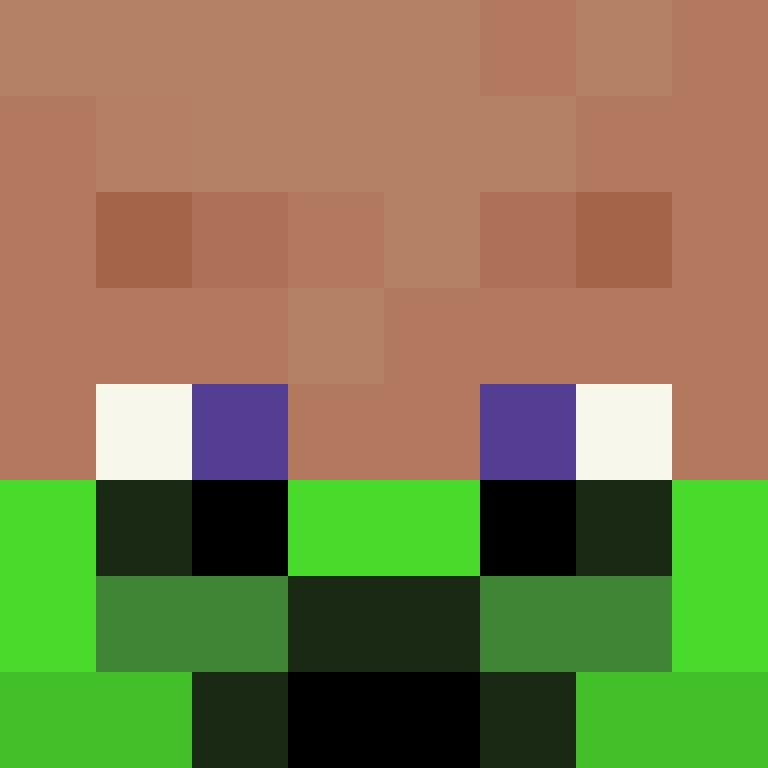 wiredframe's skin