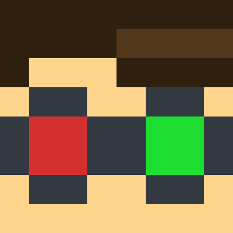 CeilingBird's skin