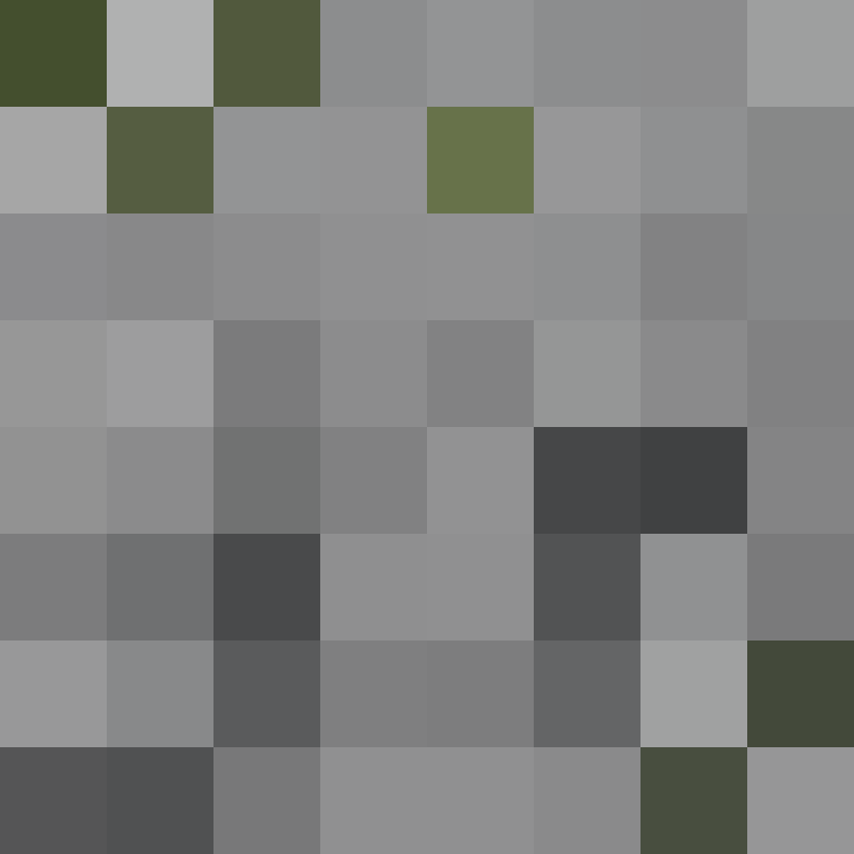 AutoSkin's skin