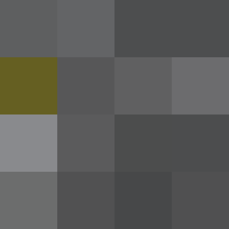 Typken's skin