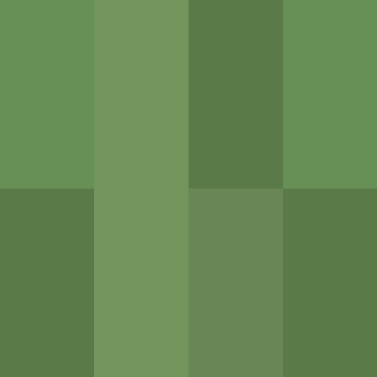 zervation's skin