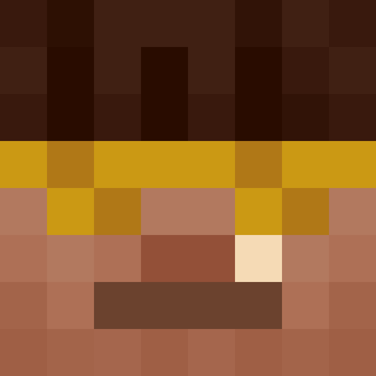 wiredframe's skin