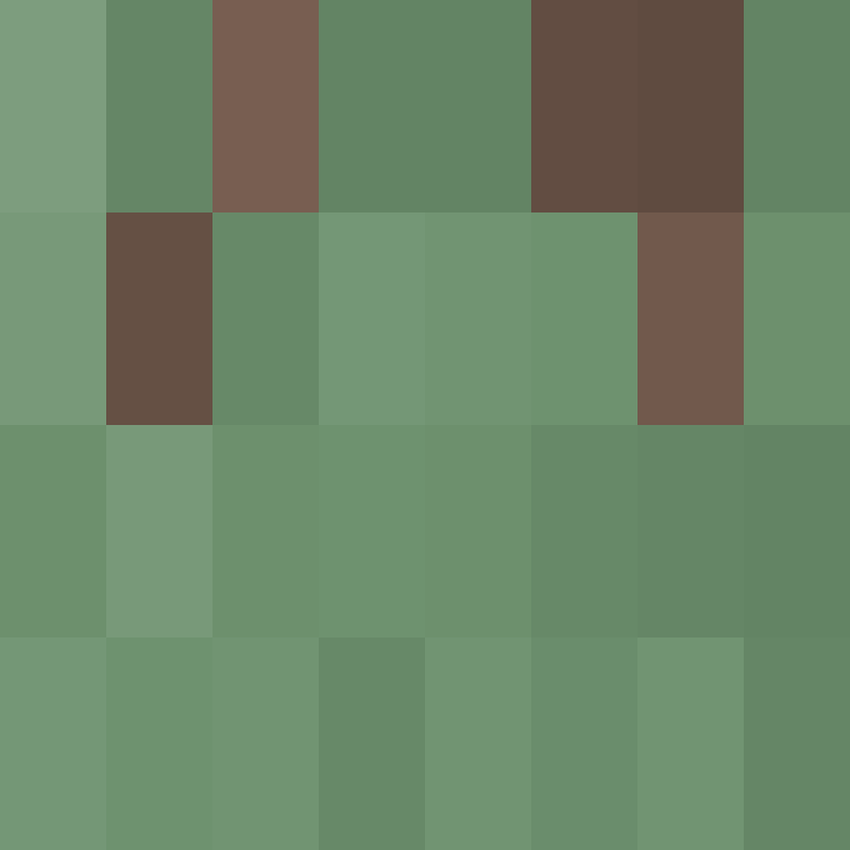 v4r1n's skin