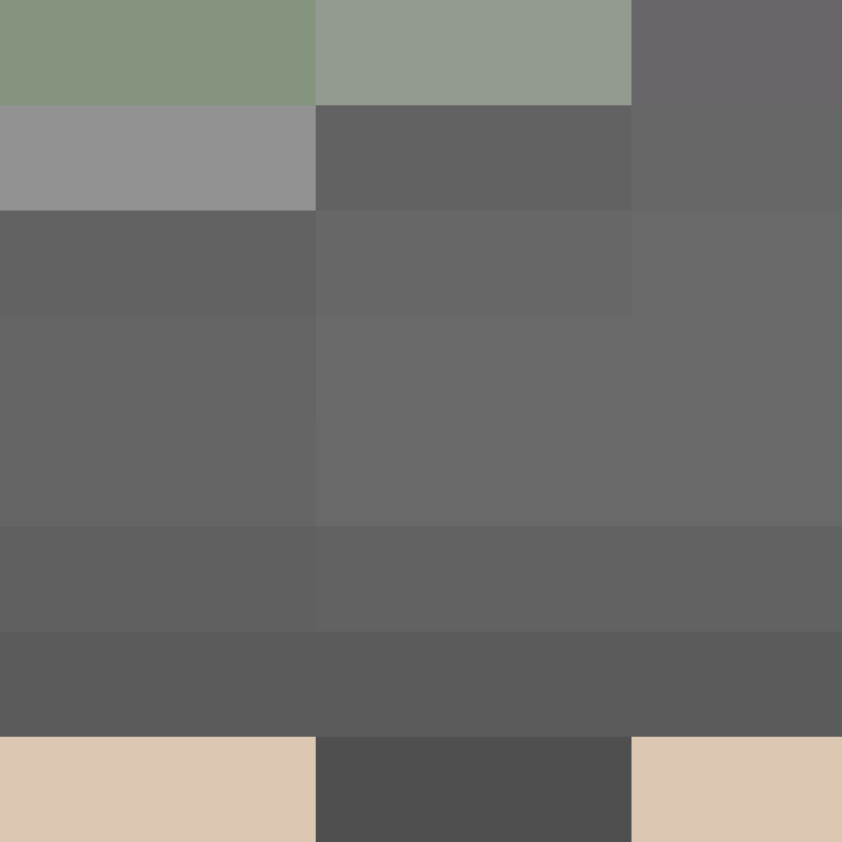 bigibas123's skin