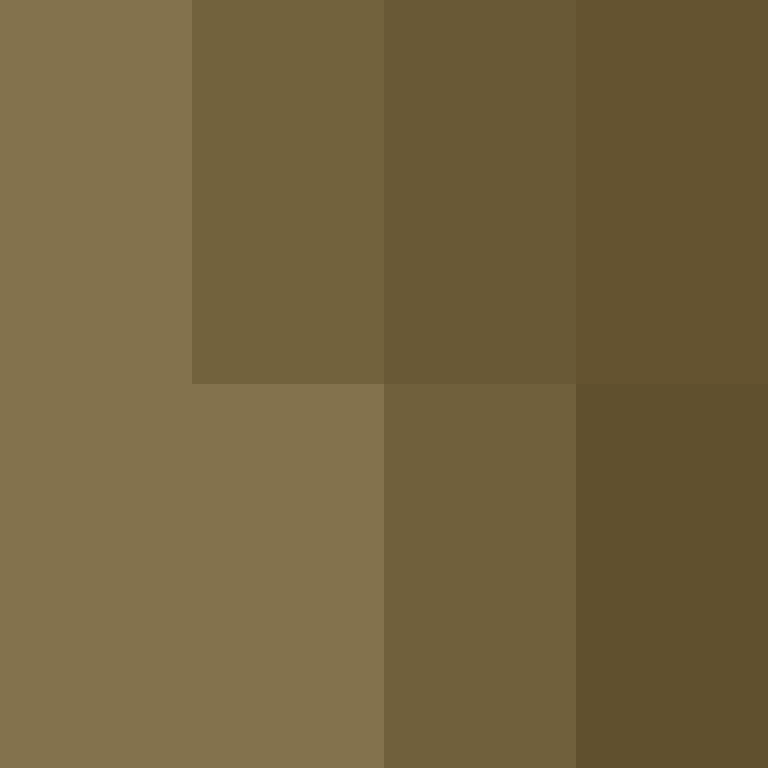 BukkitAPI's skin