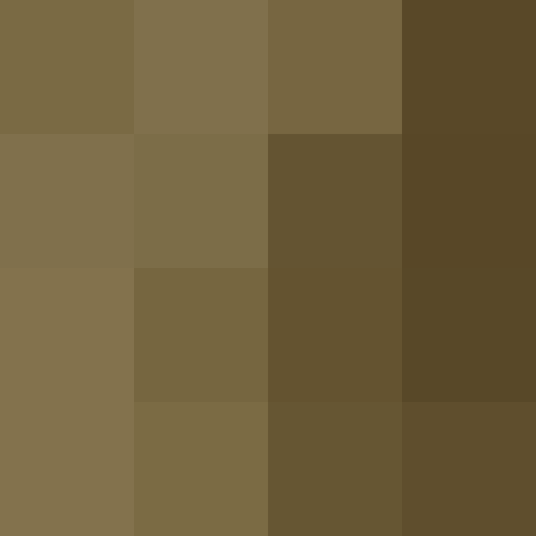 acin5's skin