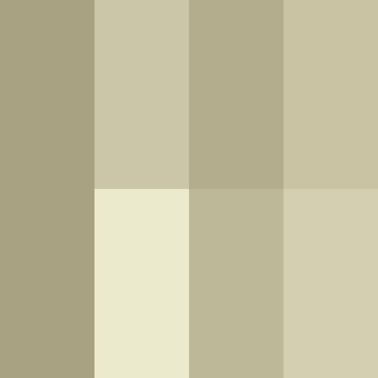_pakman_'s skin