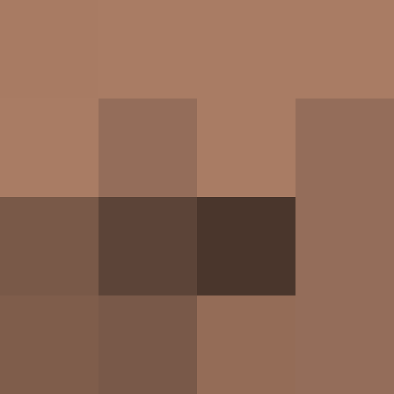 acin5's skin