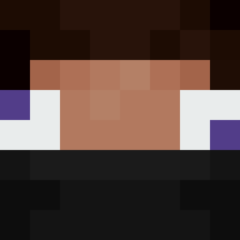 8aca680b22461340's skin
