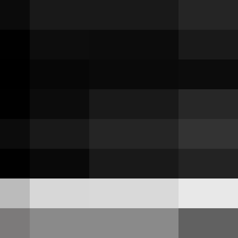 executory's skin