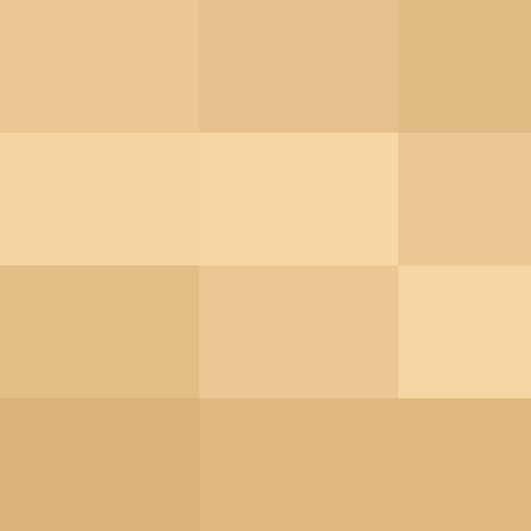 TheSilverDreams's skin