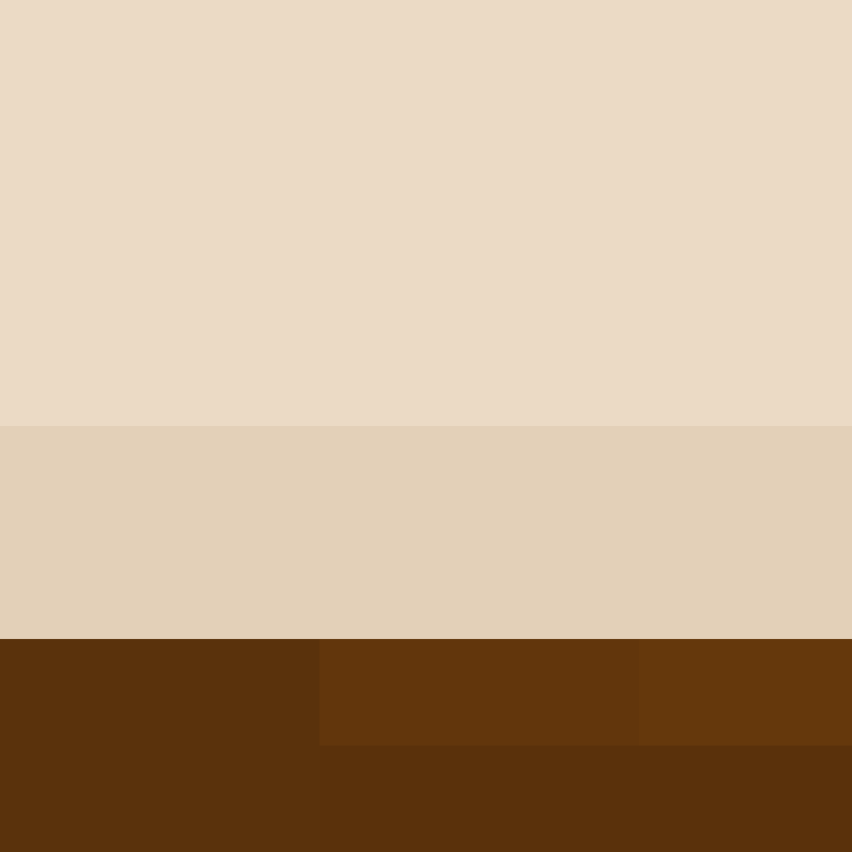 Cartizoll's skin