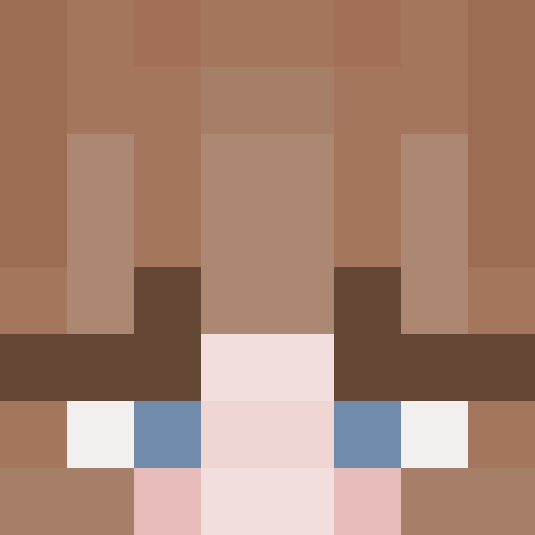 8aca680b22461340's skin
