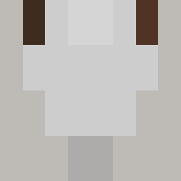acin5's skin